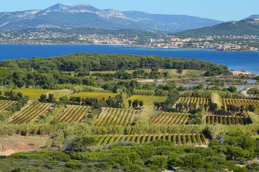 Vignes en terrasses face à la mer Méditerranée et aux collines sèches